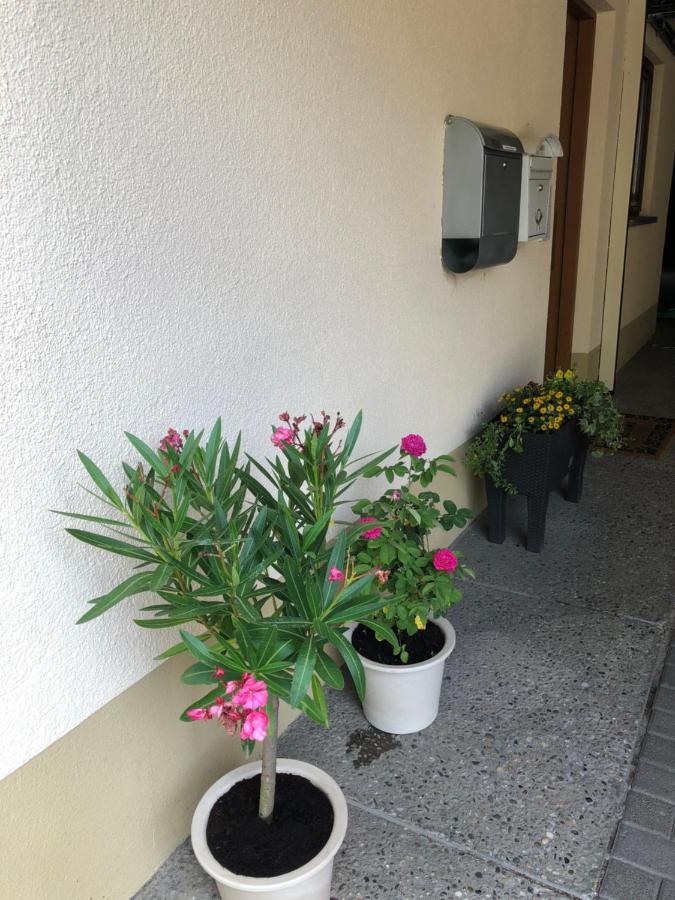 Ferienwohnung Am Gaessle 埃滕海姆 外观 照片