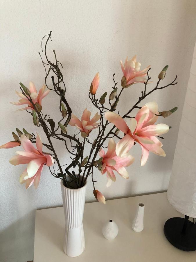 Ferienwohnung Am Gaessle 埃滕海姆 外观 照片
