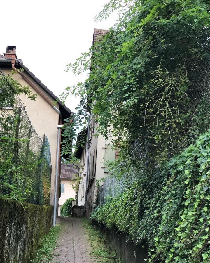Ferienwohnung Am Gaessle 埃滕海姆 外观 照片